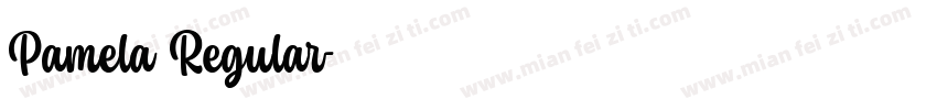 Pamela Regular字体转换